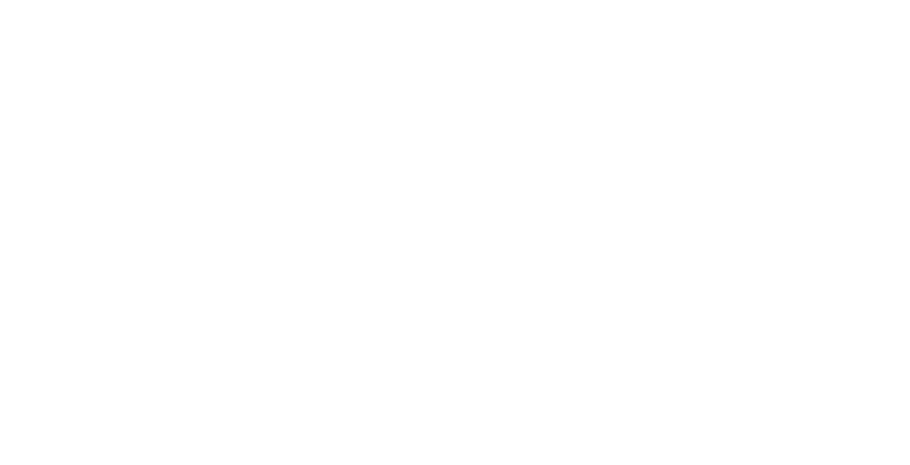 logo-sejfo-group